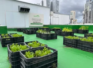 compostagem-shopping-curitiba