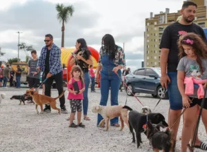 Festival Pet e Rua da Cultura