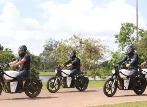 Fotos divulgação Brasfort e Origem