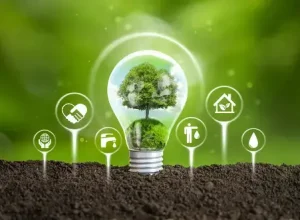 Embalagens Sustentáveis