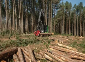 Associação Paranaense de Empresas de Base Florestal (APRE Florestas)