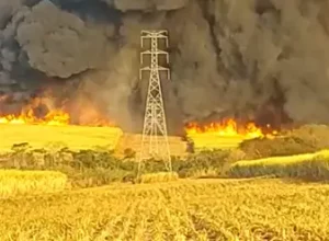 Imagem de incêndio ilegal em Ilha Solteira, SP (Foto: ISA CTEEP)