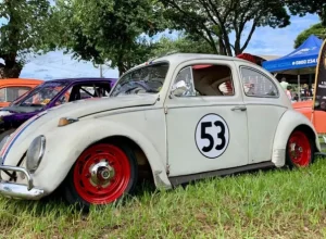 fusca-herbie