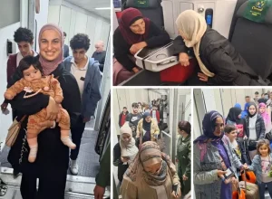 Operação Raízes do Cedro