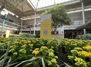 maioamarelo-shopping