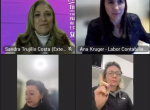 OPrograma Lidera IPMCONT iniciou, oficialmente, com um evento online na última terça-feira (Foto: Divulgação)