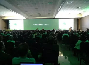Auditório lotado no Cana Summit em Brasília/DF (Crédito: Divulgação)