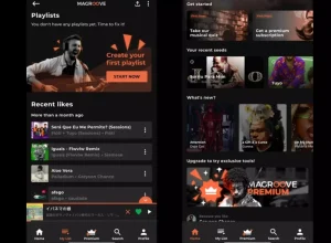 Interface do aplicativo Magroove. Foto: Divulgação.