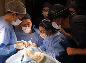 curso Accurate Otoplasty