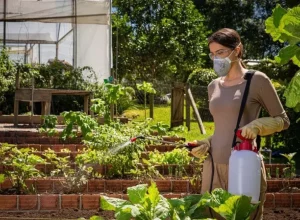 Uso prático dos pulverizadores BP 1.5M, BP 5M e BP 10M