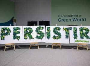 GREENPEACE_COP29