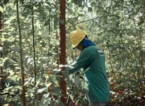 Grupo SADA é premiado por ações na redução da emissão de carbono / Divulgação Grupo SADA