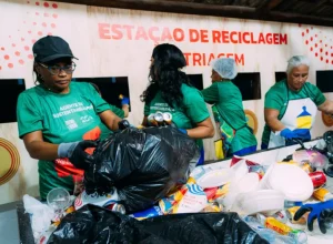Sistema Coca-Cola Brasil
