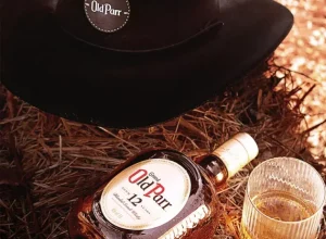 Chapéu de Cowboy Tech