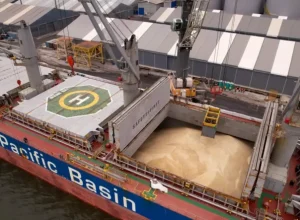 Porto Ponta do Félix