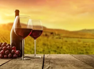 Centro Europeu promove 1º Circuito Brasileiro de Enodegustação