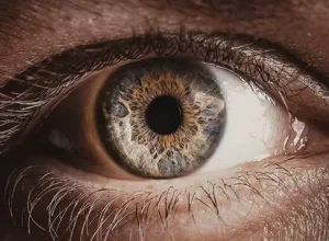 hospitaldos-olhos-corneas