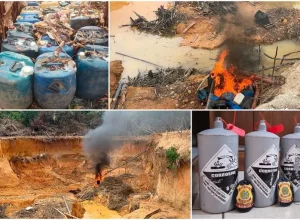 Governo Federal tem ação integrada para apreender e inutilizar patrimônio do crime organizado na área indígena Yanomami.