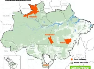 relatorio-desmatamento-greenpeace-