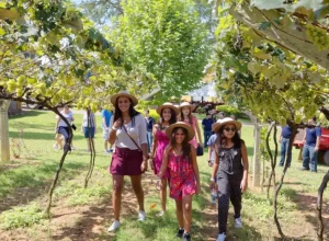 Vindima Vinícola Góes