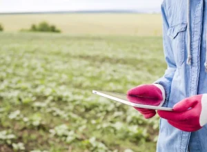 agricultura-campo-plantacao