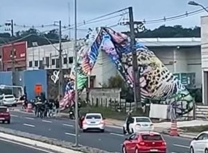 Balão Sobre a Rede Reprodução (7)