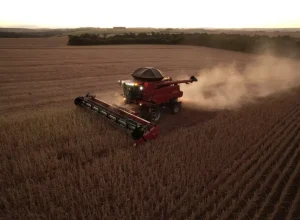 Festival AgriCULTURA