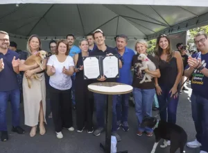 EDUARDO-PIMENTEL__lei lilly-CURITIBA