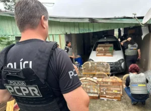 IAT devolve à natureza parte de animais vítimas de tráfico