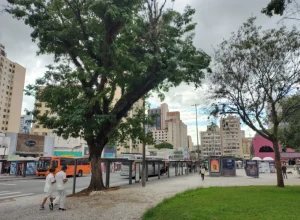 Curitiba