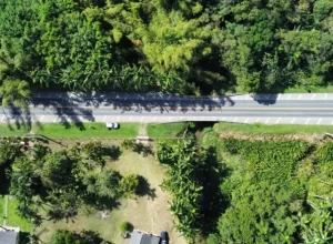 Pare e siga obra em ponte de Morretes muda trânsito