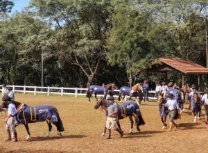 Passaporte Pato Branco - Crédito Daymon Grocheviski Divulgação