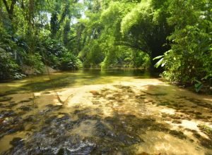 Rio-Cambara