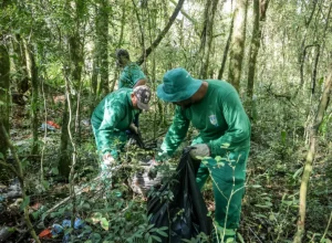 SEMMA - Limpeza mata Pineville - Ecoponto Jerivá (Foto: PMP)