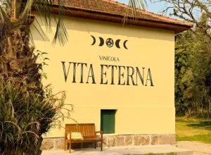 Divulgação Vita Eterna