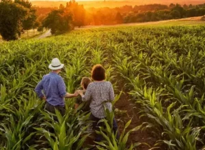 agricultura familiar
