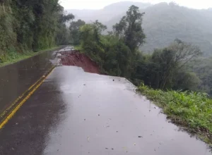 divulgação - mídias sociais