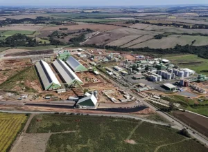 grupo_potencial_foto_rdziura-4