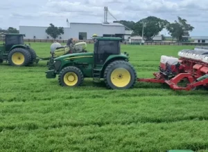 plantio-soja-agropecuaria