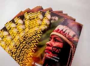 publicação-indígena