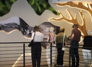 Exposição “A Grande Árvore da Memória”