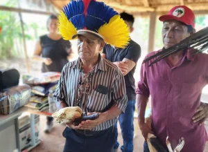 Milho sagrado volta a germinar em aldeias Ava Guarani do Oeste do Parana