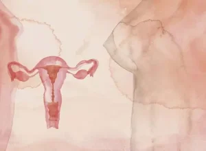 cancer colo de utero e mama no parana