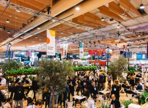 divulgação Foto web summit